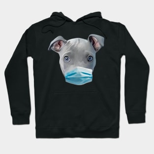 Pitbull Love Hoodie